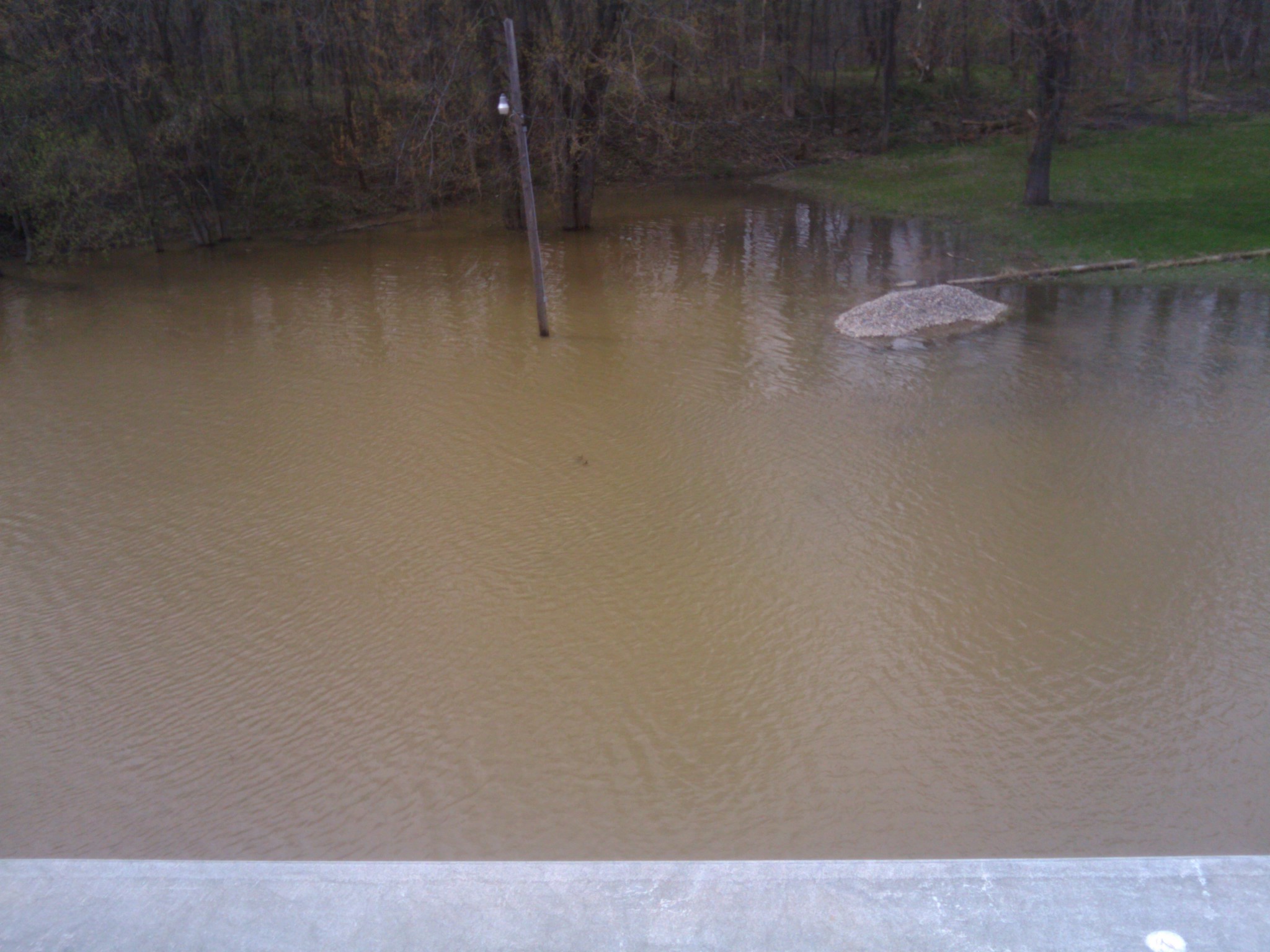 img_20110501_120617.jpg
